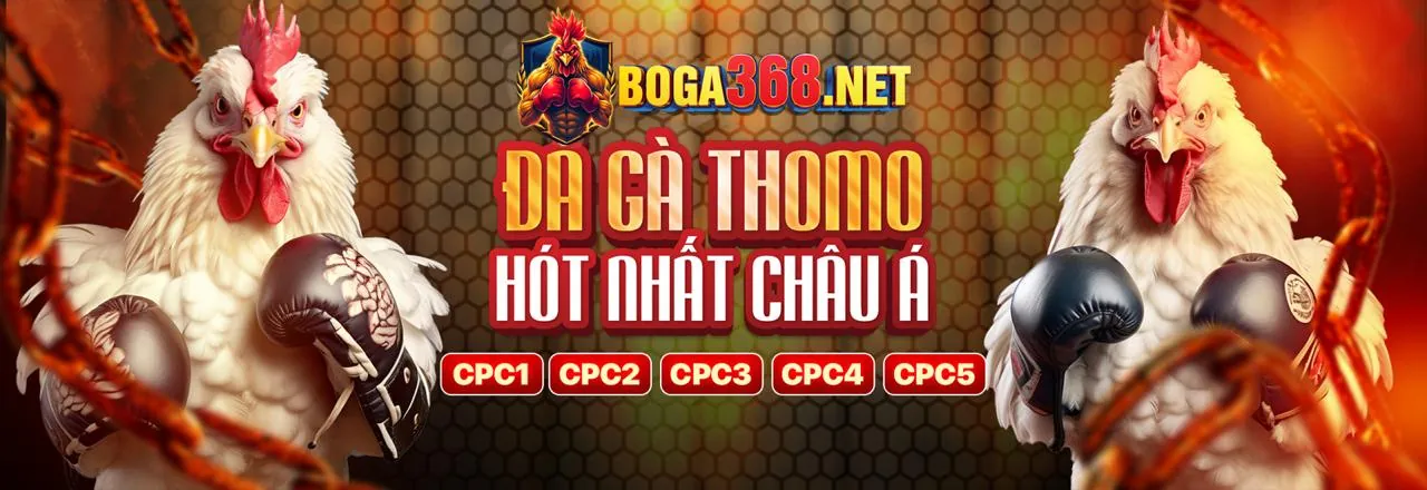 Tổng quan về nền tảng giải trí mi so88