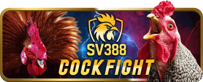 Tham gia mi so88 VIP để nhận ưu đãi